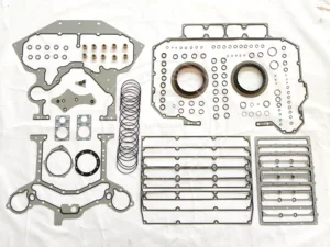 Unpacked components of the 4955391 QSK78 lower block gasket kit showing O-rings and seals
