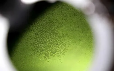 Water in the Gas Tank: 5 Fatal Risks and How to Rebuild Your Fuel System Safely