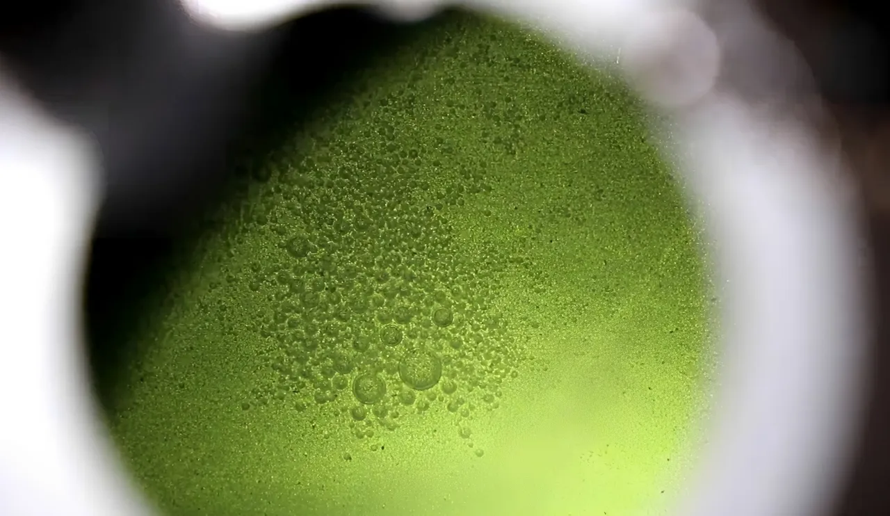 Water in the Gas Tank:
