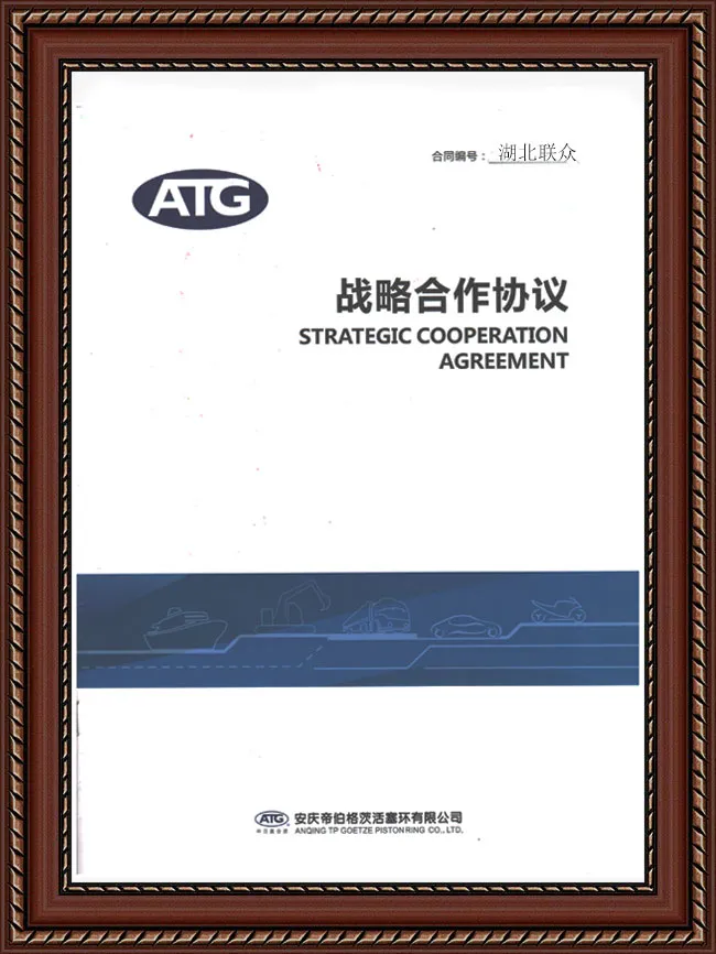 Certificate 5